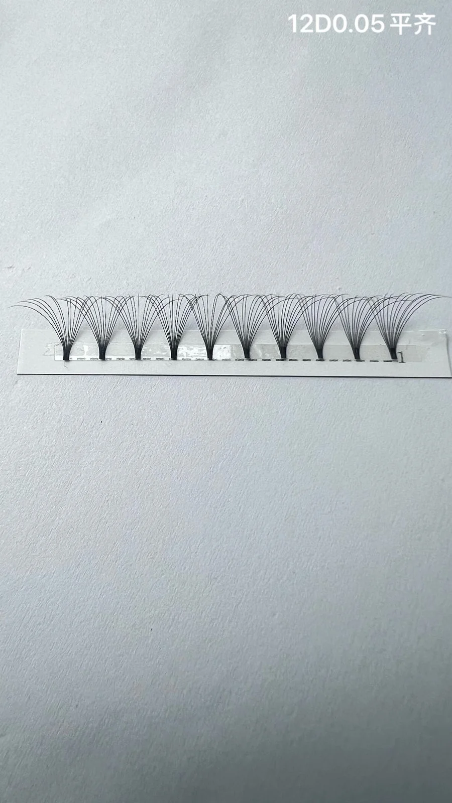 Jinyanhua Short Stem Premade Fans 12D 2D